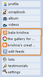 Add blog feed on orkut profile to get additional traffic and visibility
